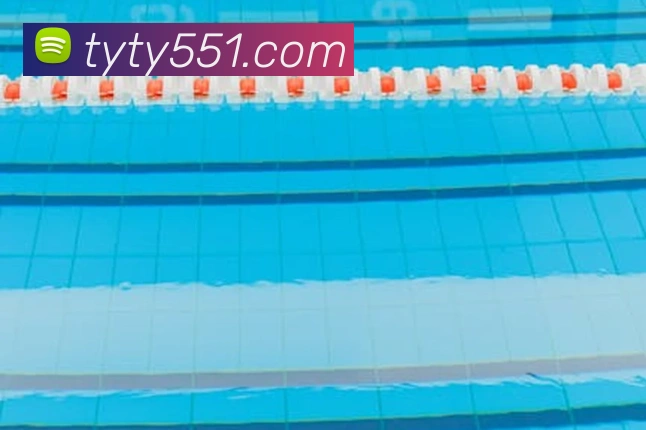 互动解说服务